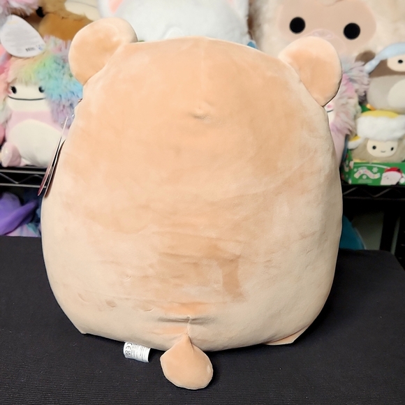 Squishmallows Omar The Bear Hug Me  12" - Picture 3 of 3